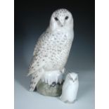 A large Royal Copenhagen model of a Snowy Owl, numbered 1829, painted and printed marks, together