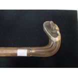 WITHDRAWN A brassica walking stick with white metal mounted handle carved with a fox head, European