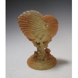 A Royal Worcester conch shell dated 1897