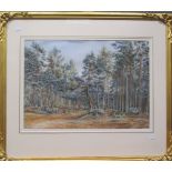 Edith Roberts, Wooded landscape, watercolour signed and dated 1894, gilt framed