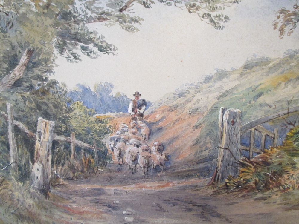 T.H. Ford, driving sheep along a lane, 31 x 21cm, unframed