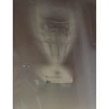Kathryn Faulkner (British, b. 1961) - Vine Glass, photogram, 2001, framed, 25 x 19 cm. Provenance: