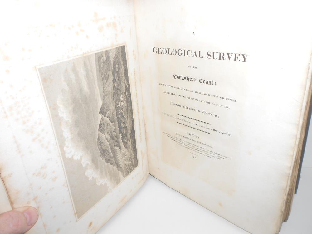 YOUNG (Rev. George and John BIRD) A Geological Survey of the Yorkshire Coast, Whitby 1822, 4to, - Image 3 of 7