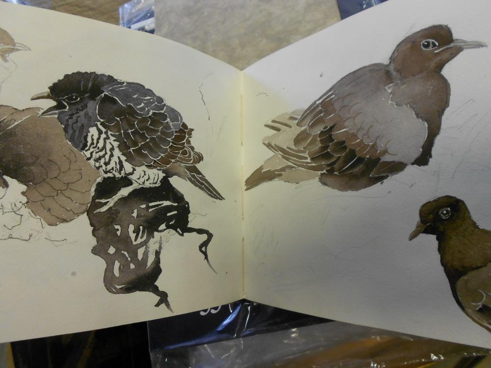 A collection of wildlife drawings and sketches, circa 1950s-60s, in three sketchbooks and loose, - Image 2 of 5