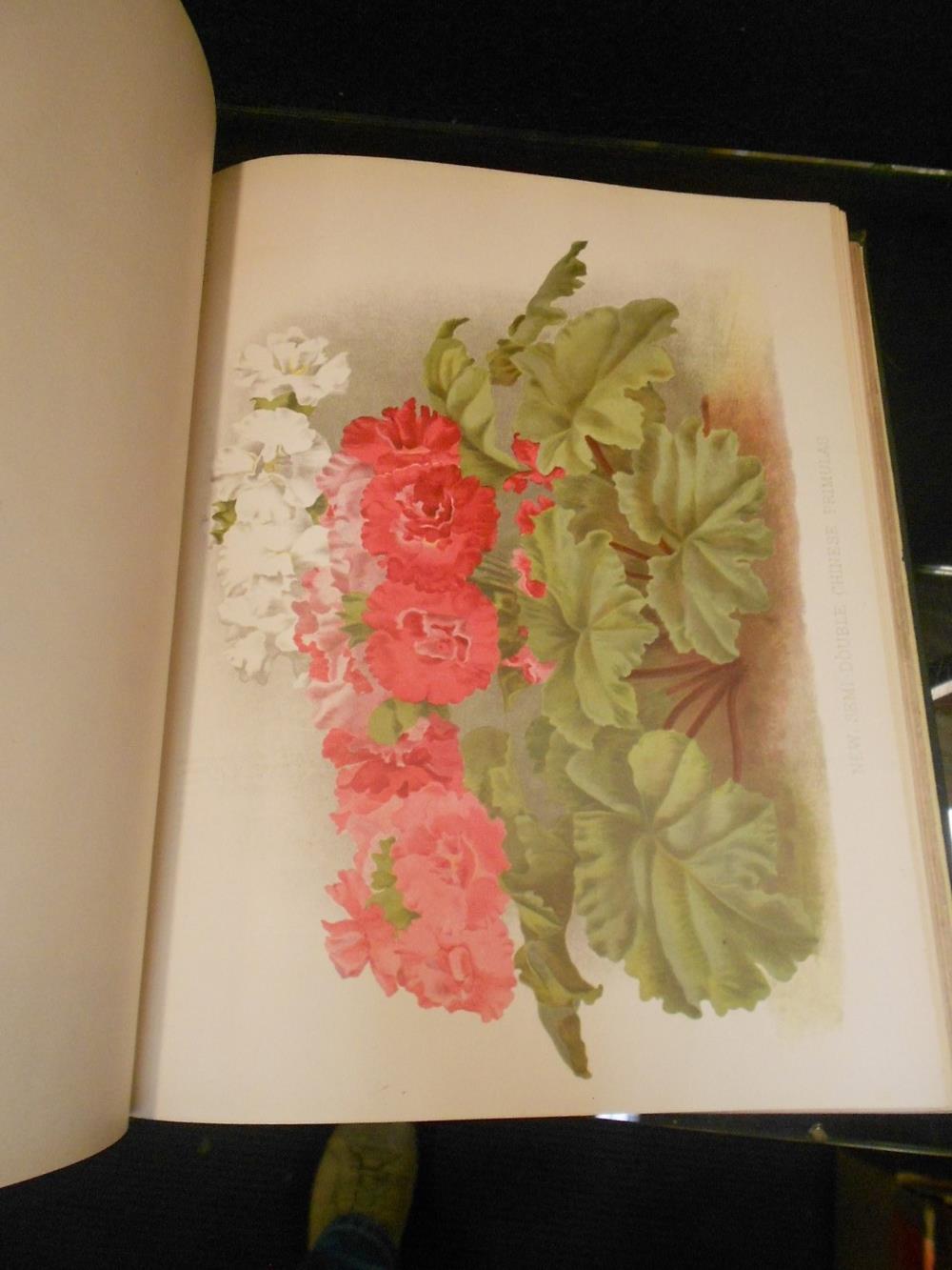 The Garden, an Illustrated Weekly Journal of Horticulture in all its Branches, run of 30 cloth bound - Image 3 of 5