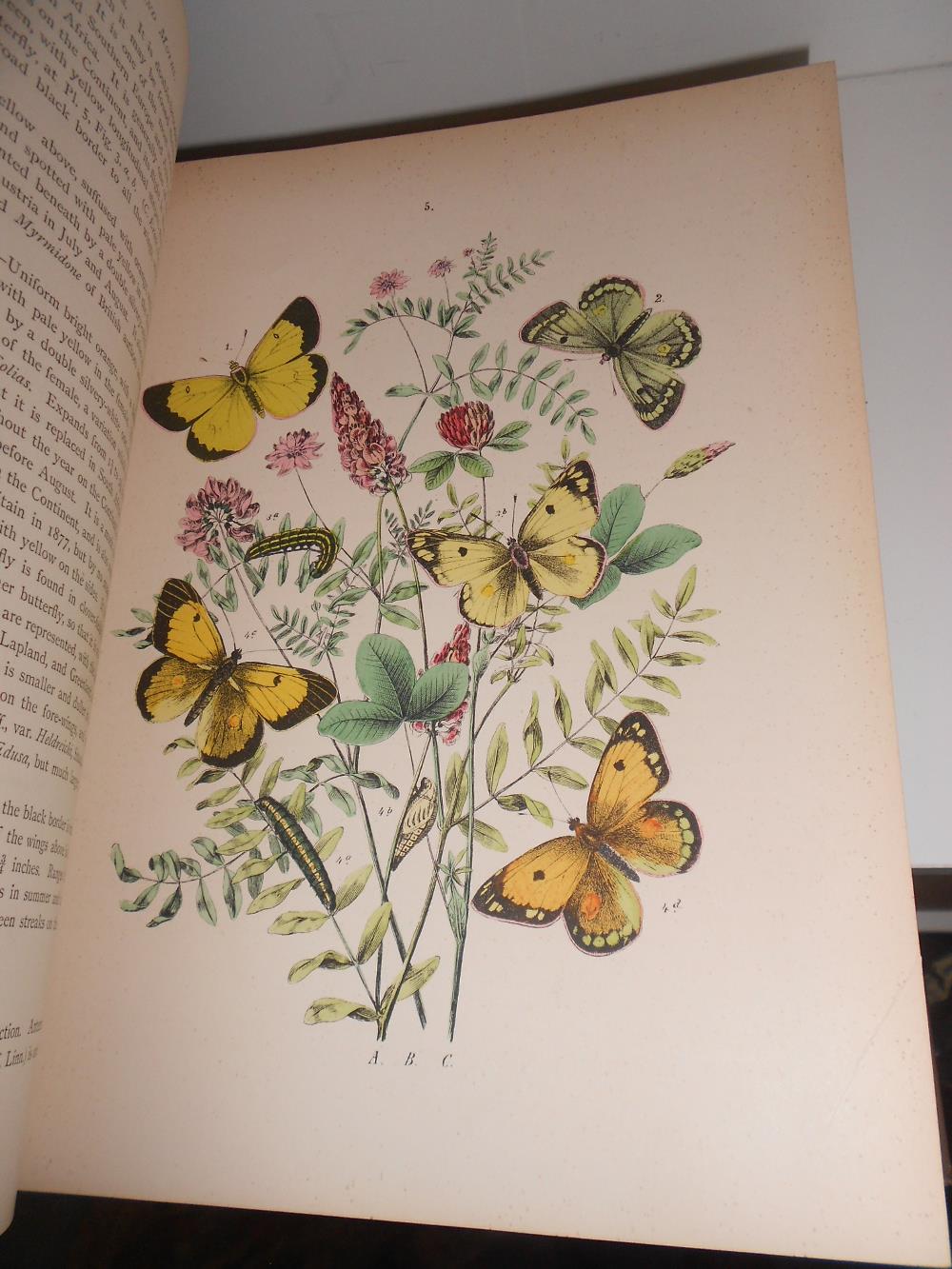 KIRBY (W F) European Butterflies and Moths, Cassell & Co 1889, 4to, 61 coloured plates, slight - Image 3 of 6