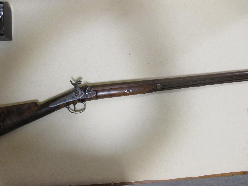 Pinches - a percussion hunting musket, with damascus barrel and burr wood stock - Image 2 of 2