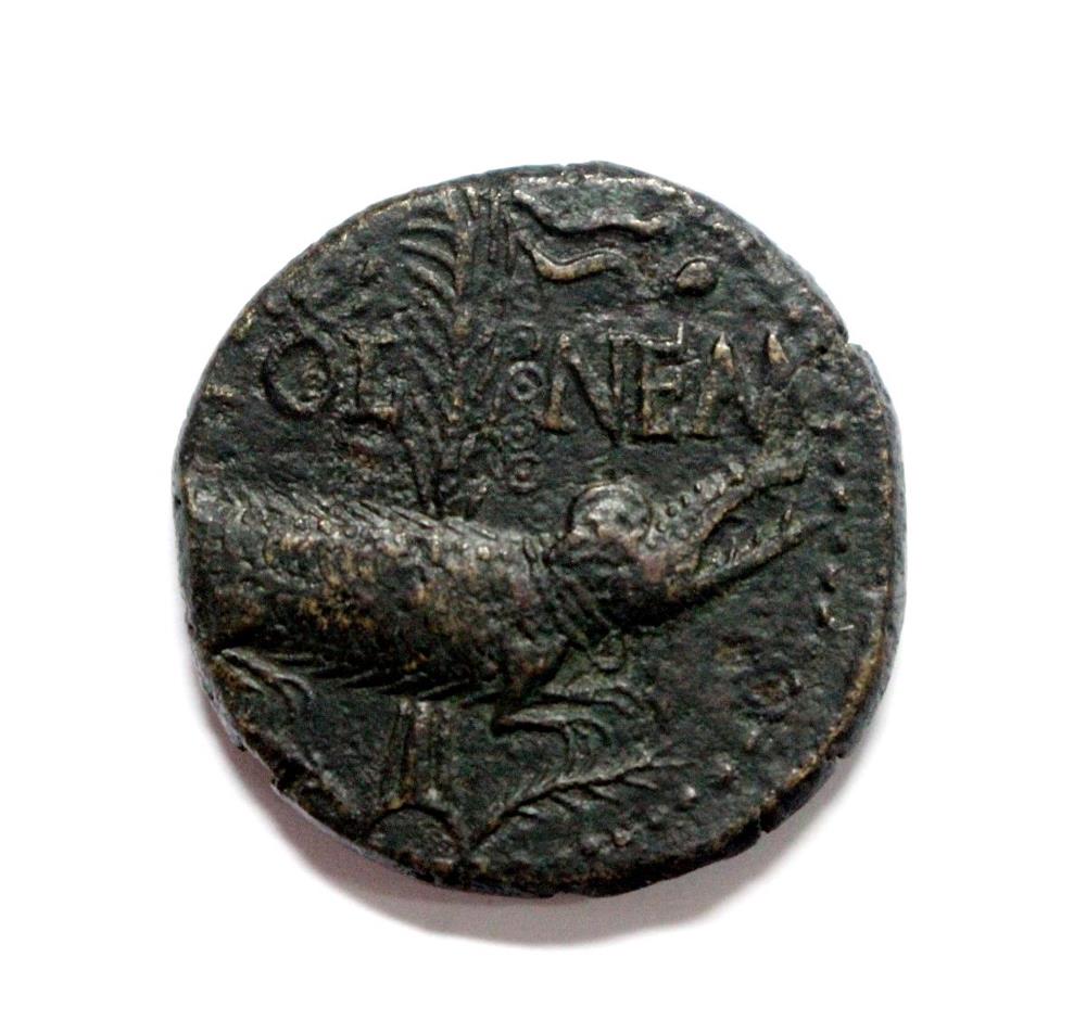 Augustus with Agrippa (10-14AD) back to back with chained crocodile and palm tree, VF or better,