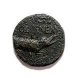 Augustus with Agrippa (10-14AD) back to back with chained crocodile and palm tree, VF or better,