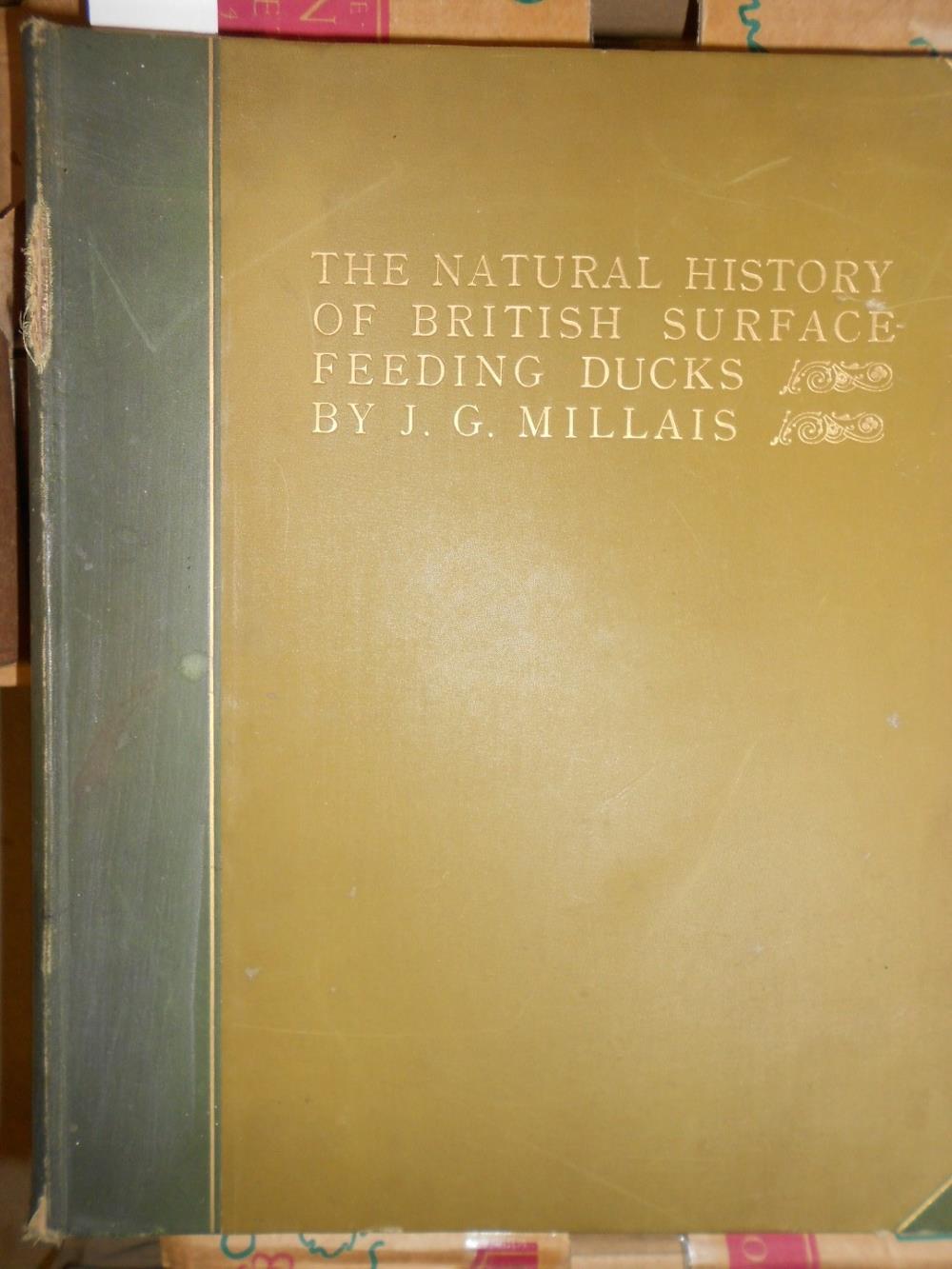 Ornithology. MILLAIS, (J G) The Natural History of British Surface-Feeding Ducks, Longmans 1902, no. - Image 2 of 6