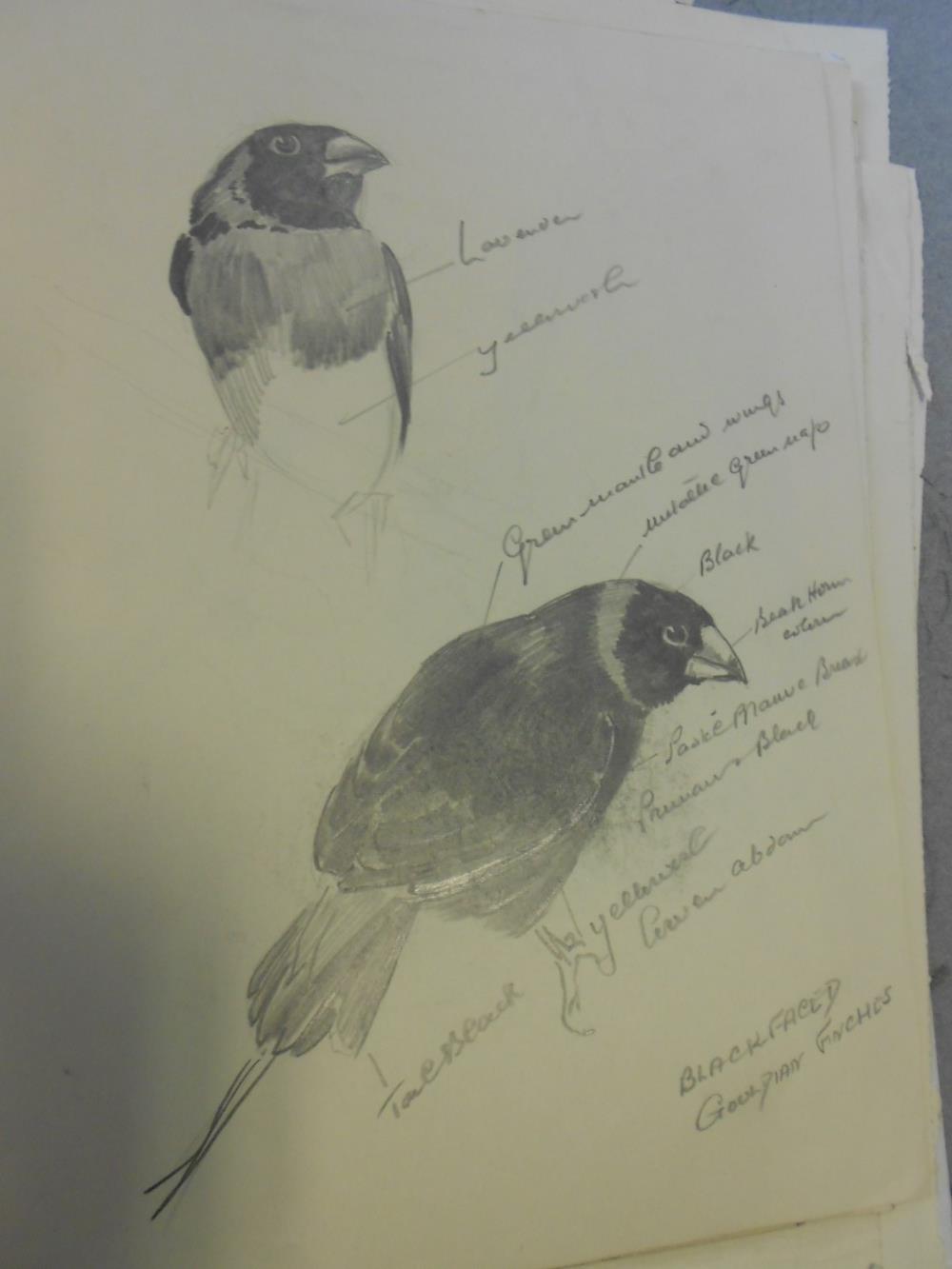 A collection of wildlife drawings and sketches, circa 1950s-60s, in three sketchbooks and loose, - Image 5 of 5