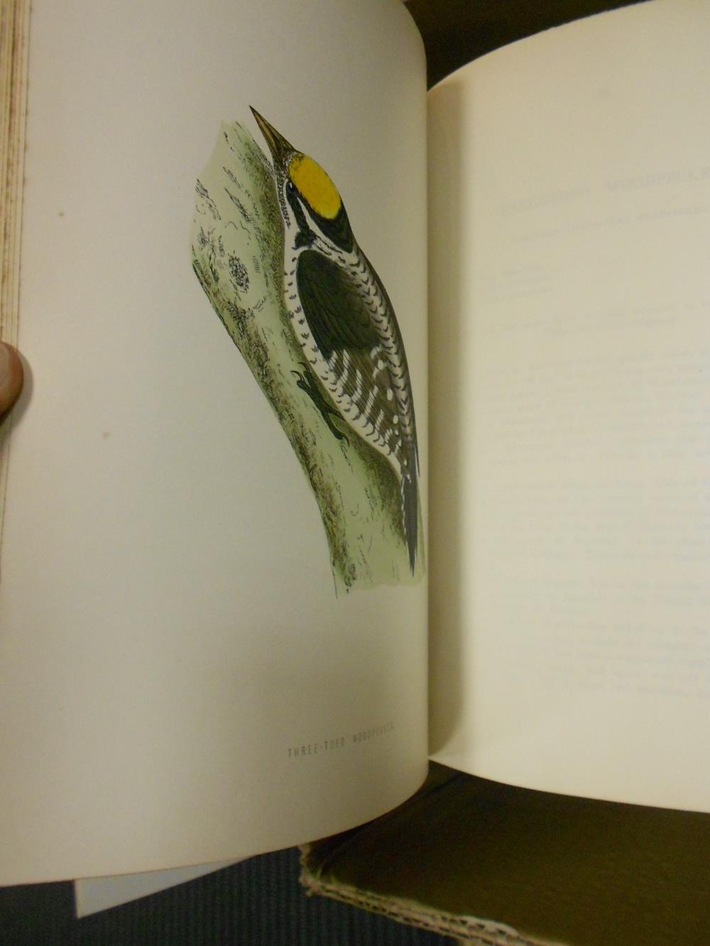 MORRIS (Rev. F.O) A History of British Birds, 2nd edition, 6 vols, London: G.Bell and Sons 1870, - Image 3 of 5