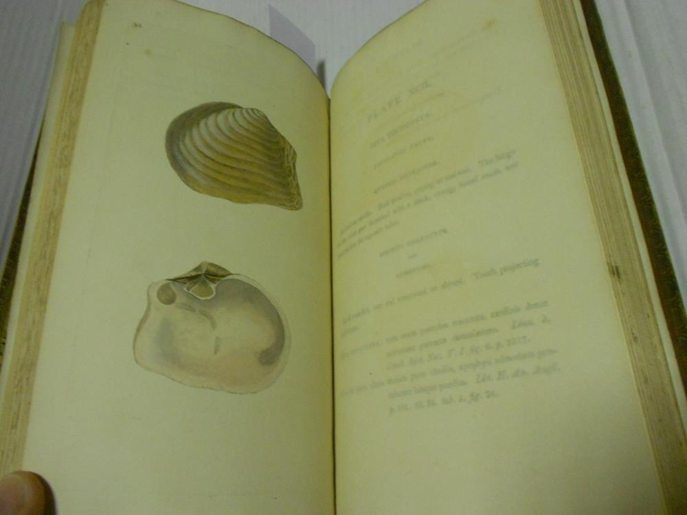 DONOVAN (Edward) The Natural History of British Shells, in 5 volumes, 1800-04, 8vo, with 180 hand - Image 3 of 8