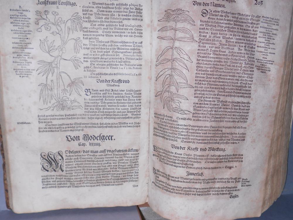 BOCK (Hieronymus) Krautterbuch..., Mit vleiß übersehen, und mit der kräutter zunamen... gemehret und - Image 5 of 5