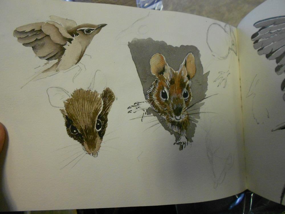 A collection of wildlife drawings and sketches, circa 1950s-60s, in three sketchbooks and loose,