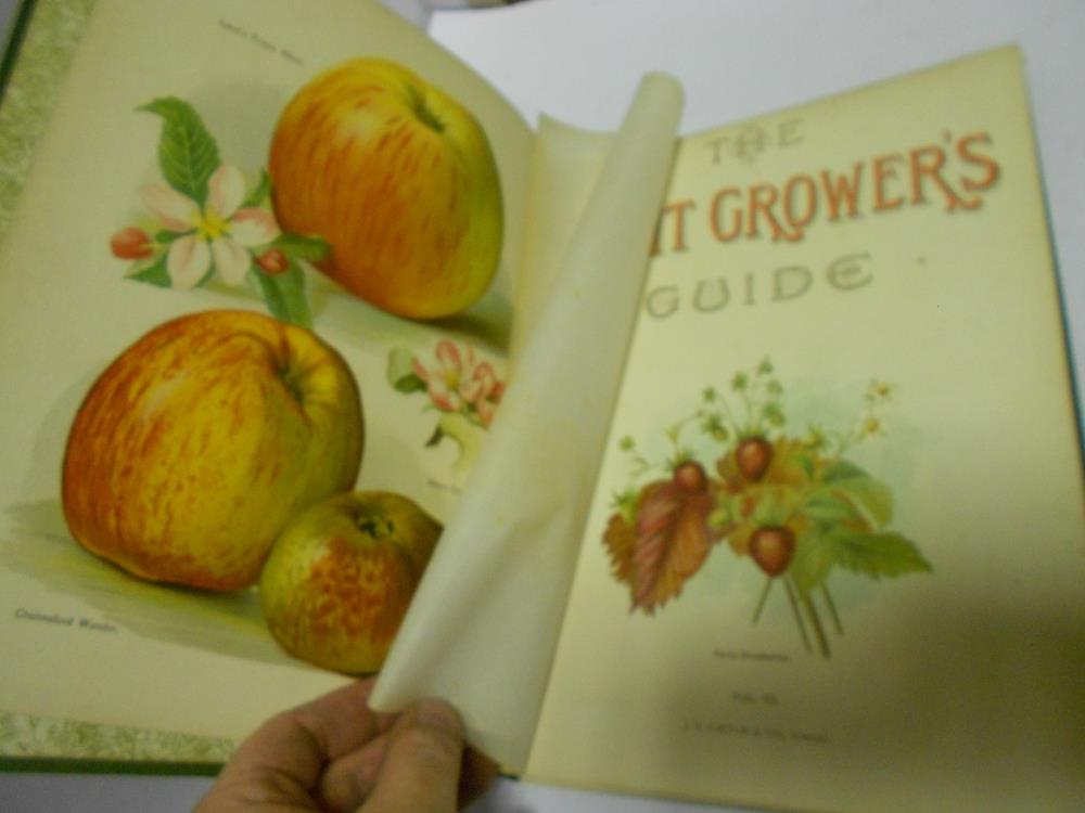 WRIGHT Fruit Grower's Guide, in six divisions, c.1890, 4to, chromolithograph plates, decorative - Image 2 of 2
