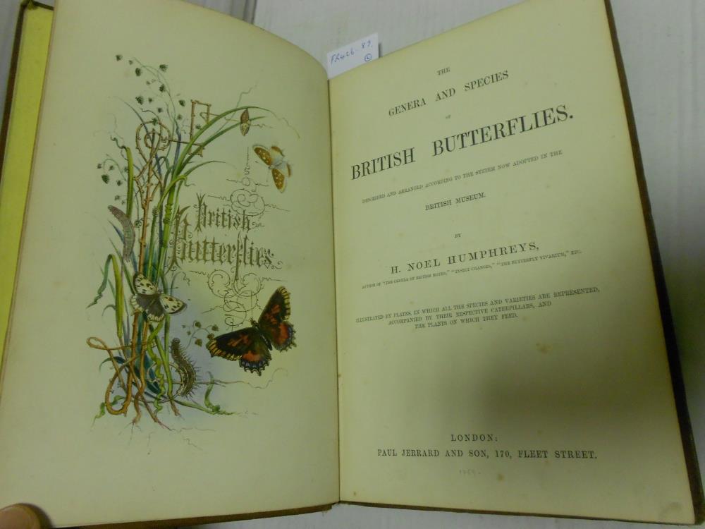 KIRBY (W F) European Butterflies and Moths, Cassell & Co 1889, 4to, 61 coloured plates, slight - Image 5 of 6