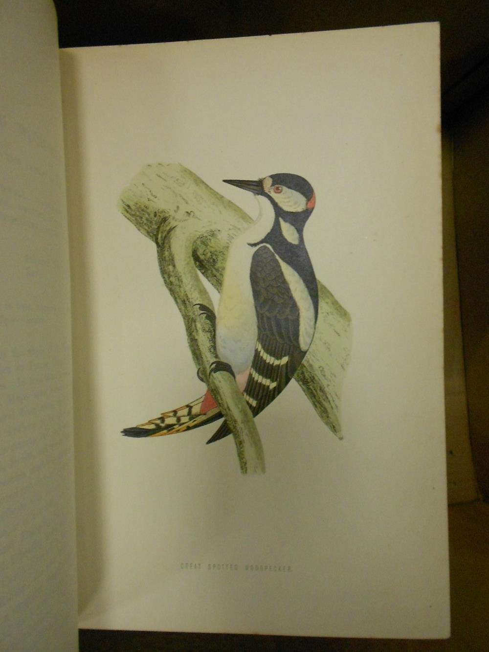 MORRIS (Rev. F.O) A History of British Birds, 2nd edition, 6 vols, London: G.Bell and Sons 1870, - Image 4 of 5