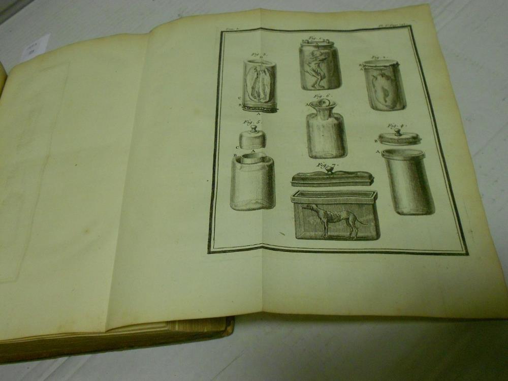 BUFFON (G L L, Comte de) Histoire Naturelle, Paris: L'Imprimerie Royale, 1750, 4to, vol. III only, - Image 4 of 4