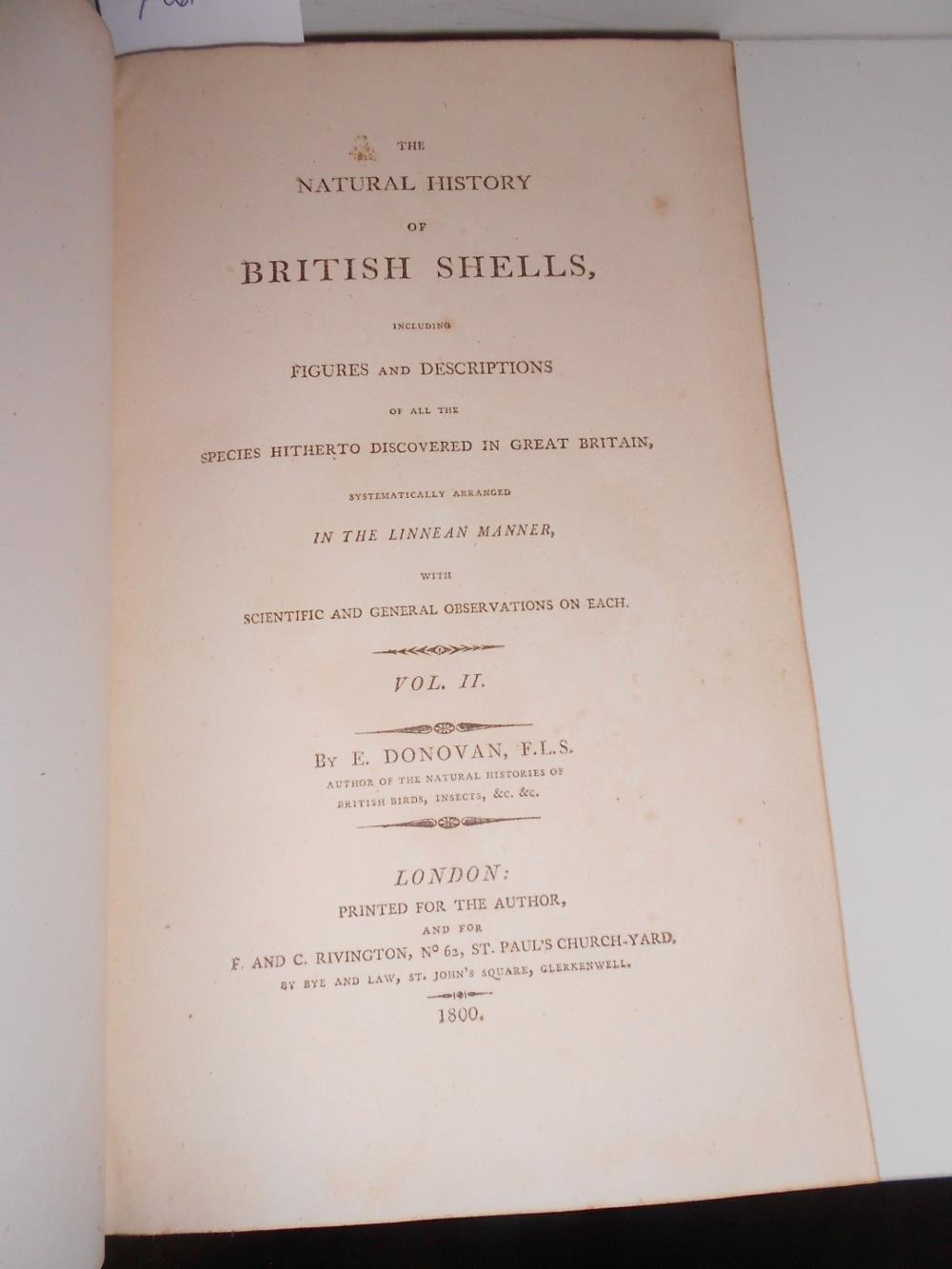 FORBES (Prof. Edward) & HANLEY (Sylvanus) A History of British Mollusca, and their Shells, 4 - Image 5 of 5