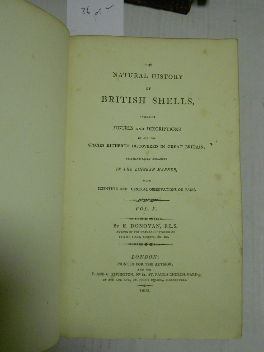 DONOVAN (Edward) The Natural History of British Shells, in 5 volumes, 1800-04, 8vo, with 180 hand - Image 5 of 8