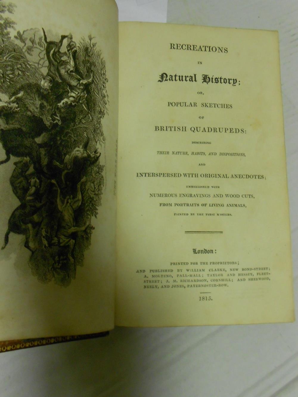 CLENNELL (J A) Recreations in Natural History; or Popular Sketches of British Quadrupeds, 1815, 8vo, - Image 2 of 4