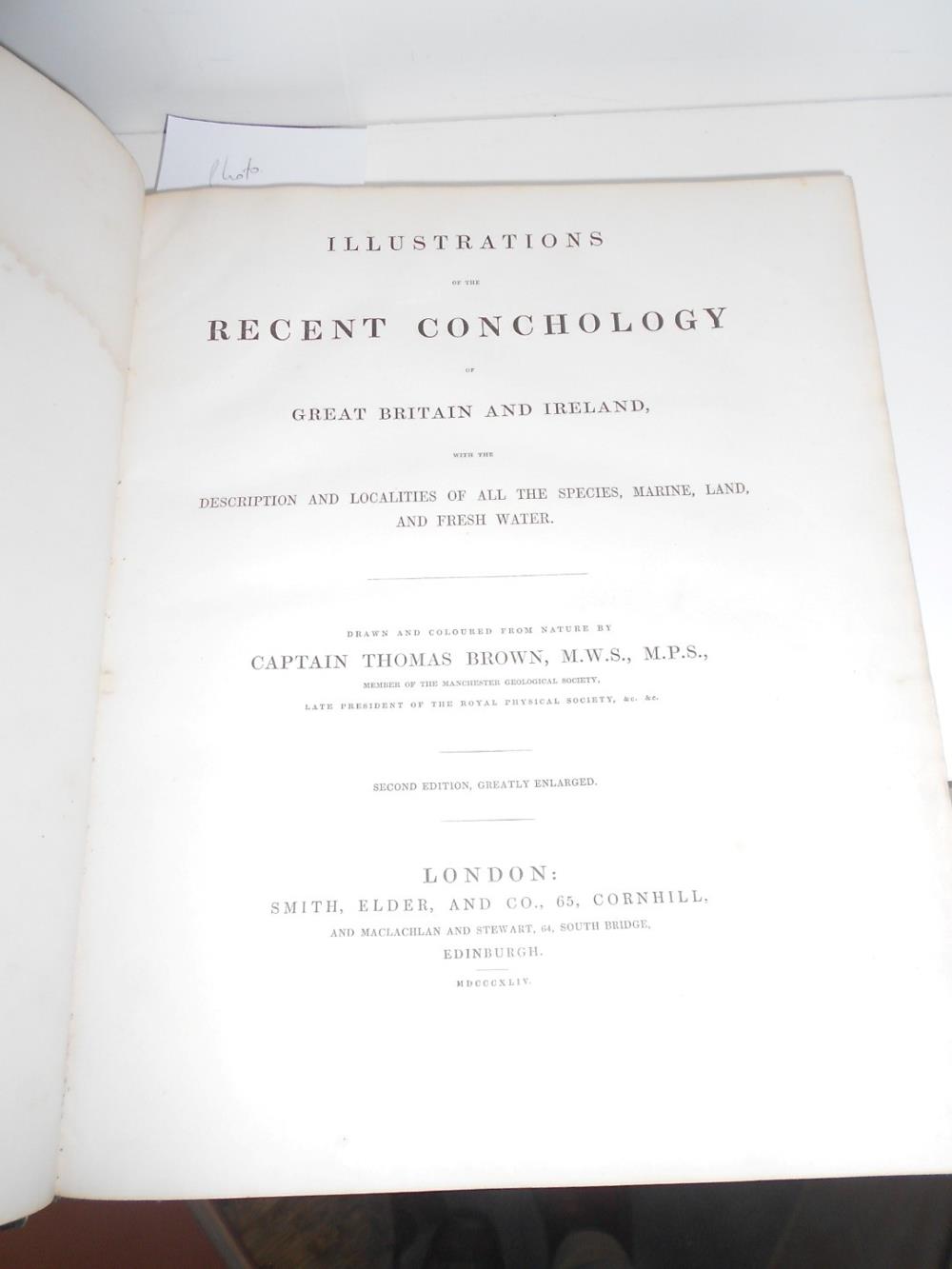 BROWN (Captain Thomas) Illustrations of the Recent Conchology of Great Britain and Ireland, London - Image 2 of 5