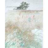 § Mary Potter (British, 1900-1981) Field and Tree watercolour 18 x 14cm (7 x 5in) Provenance: