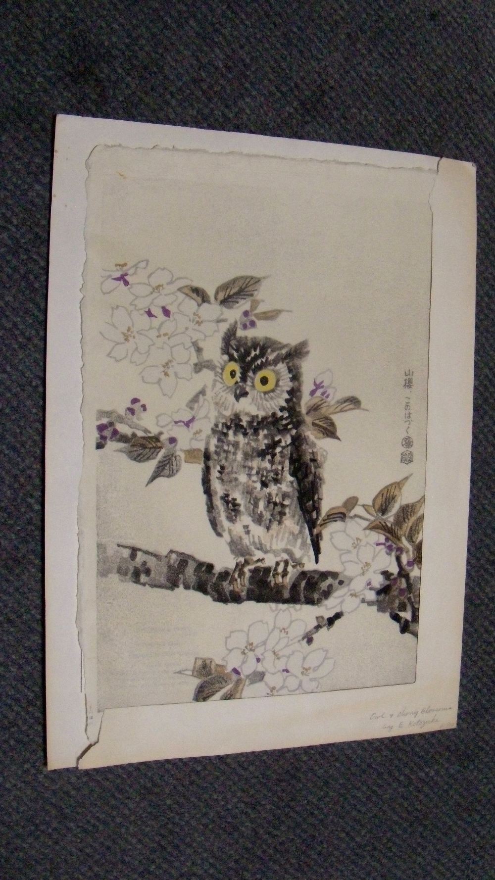 Elichi Kotozuka (Japanese, 19-20th Century) Owl and cherry blossoms woodblock on hand-made paper