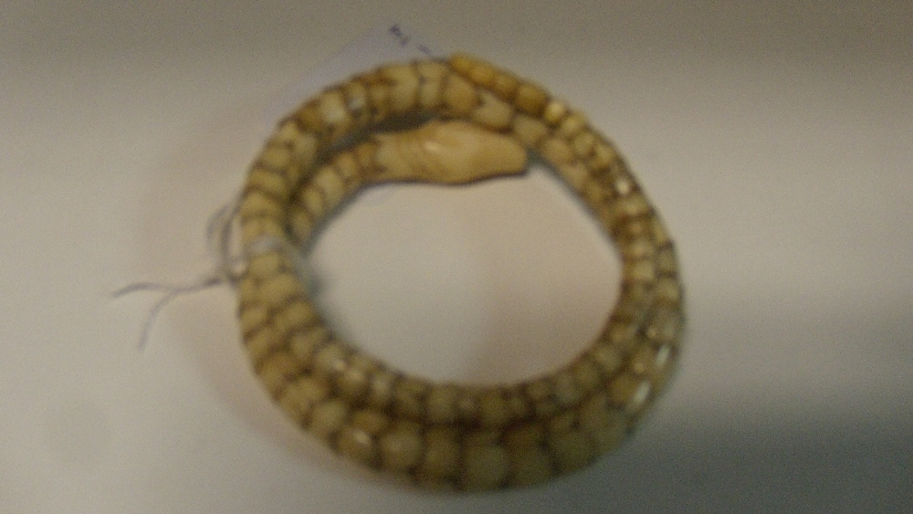 An ivory snake bracelet, the graded flower shaped links each with four petal tops interlinking to - Image 2 of 2