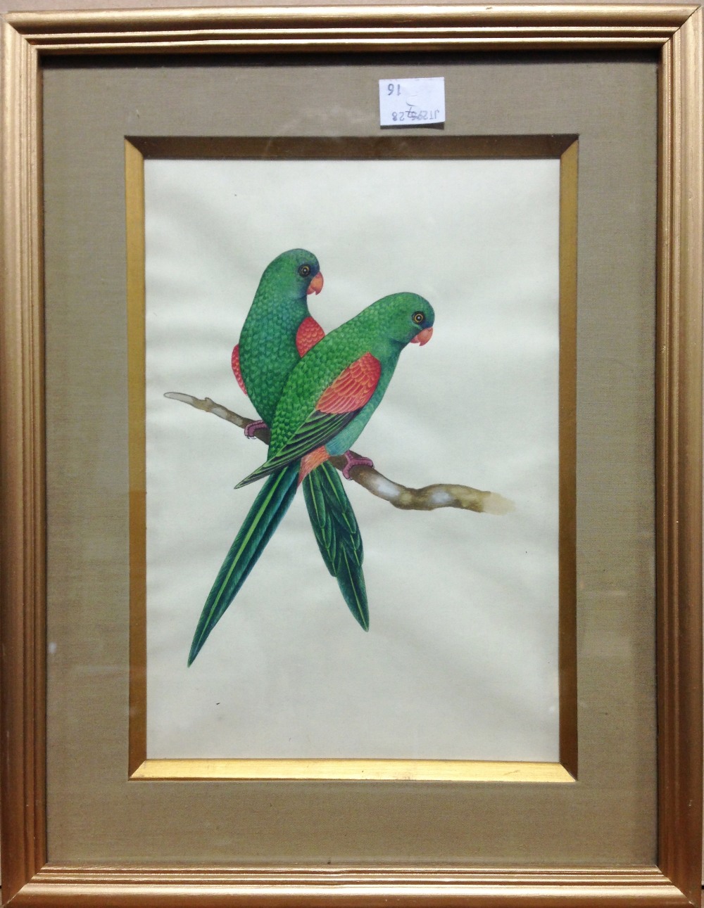 Indian School (19th/20th Century) Four ornothological studies including a Broad-Billed Motmot ( - Image 7 of 10
