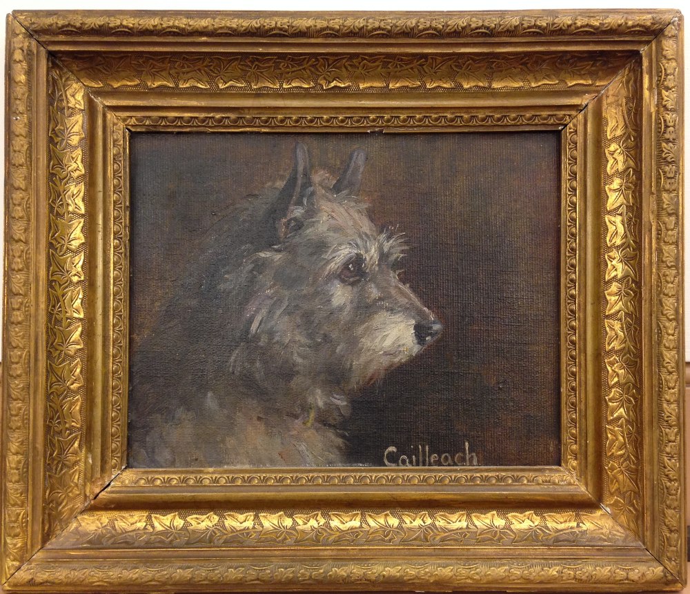 § Agnes Hilda Coates (British, 1877 - 1957) Study of "Cailleach", a Skye Terrier oil on artist's - Image 2 of 5