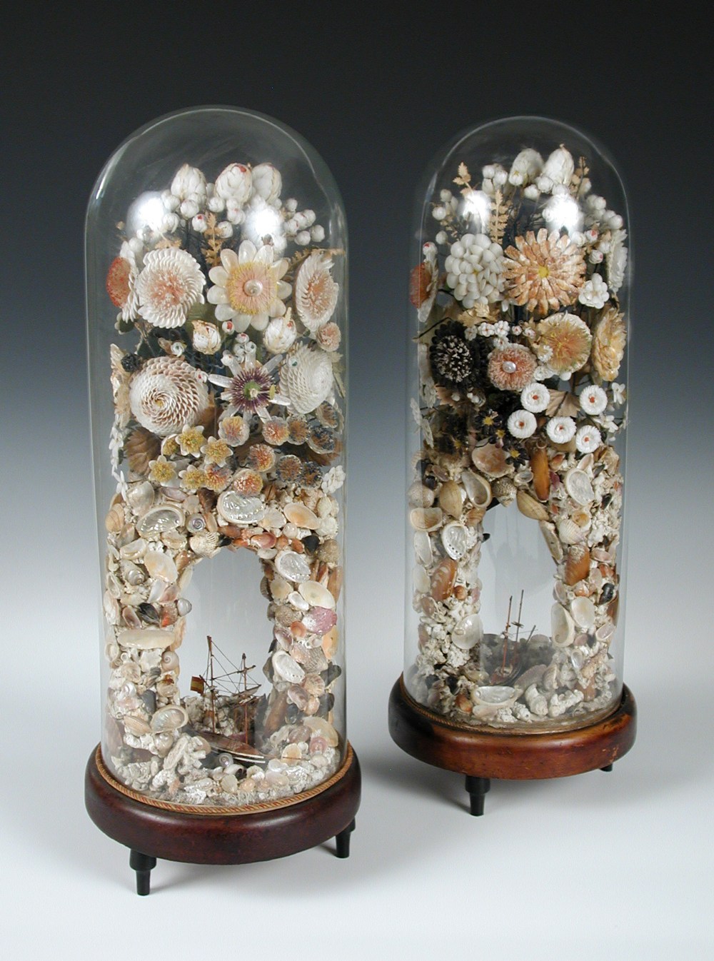 A pair of Victorian shell displays beneath glass domes, each worked with floral sprays in coloured
