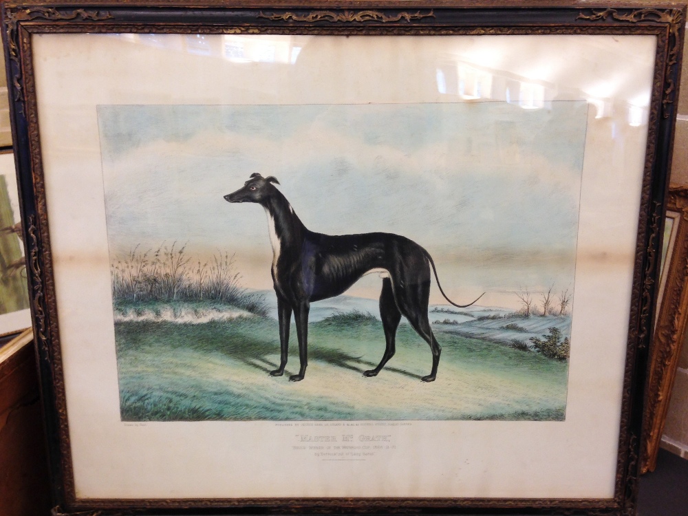 Edwin Henry Hunt (British, 19th Century) "Master Mc Grath" - a black greyhound, thrice winner of the - Image 2 of 6