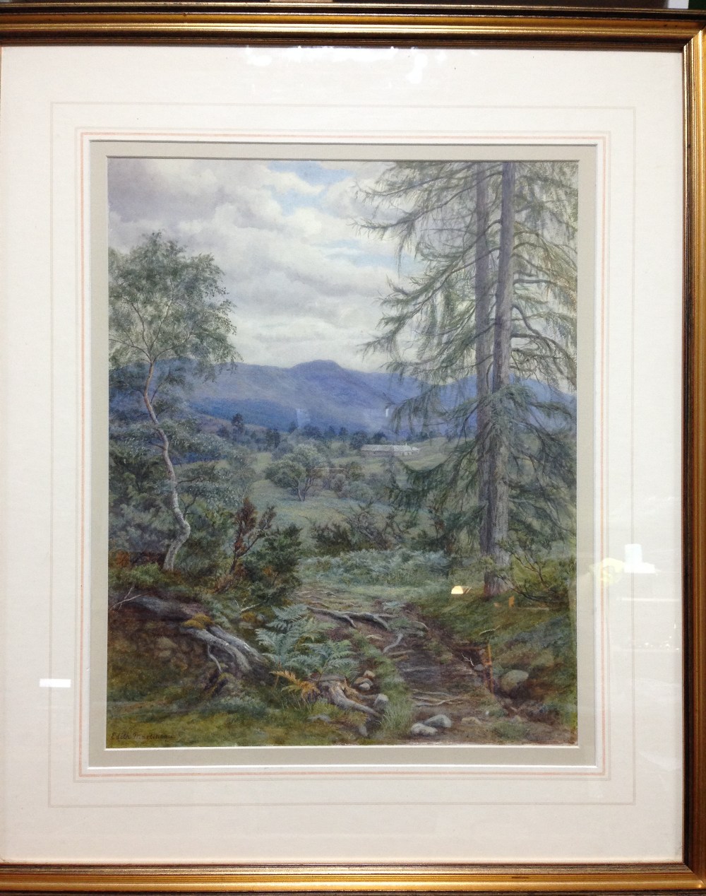 Edith Martineau, ARWS (British, 1842-1909) The Edge of the Woods near Aviemore signed lower left " - Image 2 of 8