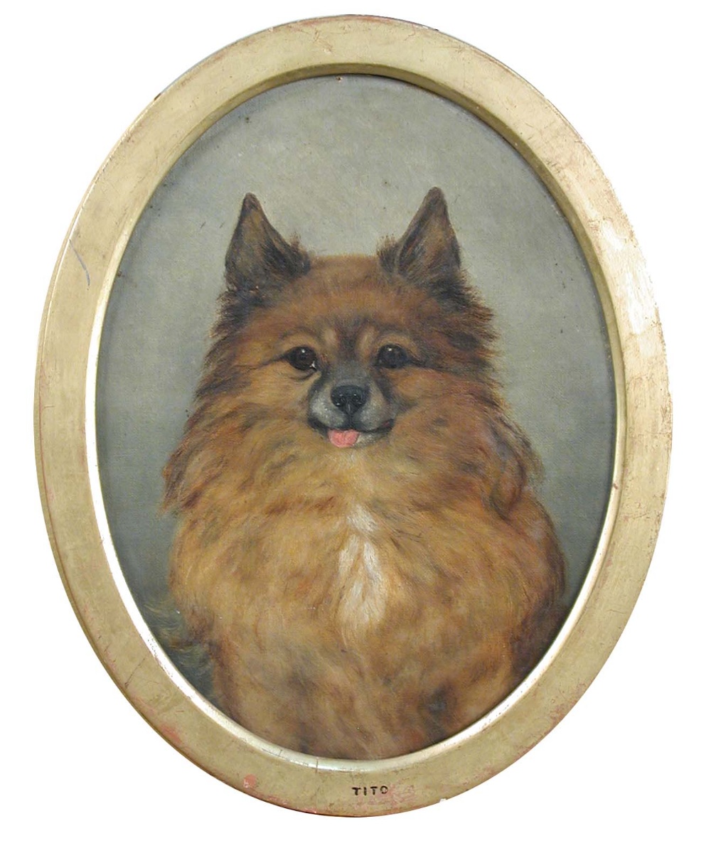 G A Stirling Brown (British, 19th Century) Tito, a Pomeranian, belonging to Adeline, Duchess of