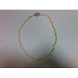 A pearl necklace with art deco diamond clasp, the individually knotted string of graduated 3.8-5.2mm