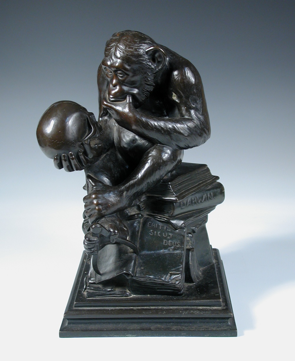 After Wolfgang Hugo Rheinhold (1853-1900), a bronzed 'Affe Mit Schadel', the pensive ape looks at