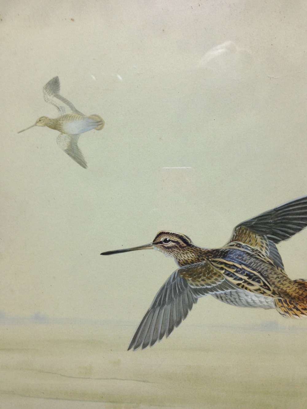 Philip Rickman (British, 1891-1982) Snipe over the marshes signed lower left "Phiip Rickman" and - Image 3 of 8