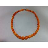 An amber necklace, of graduated oval butterscotch beads, gross weight 18g, length of necklace 42cm