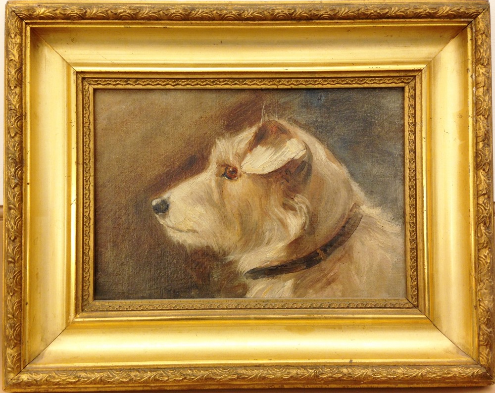 § Agnes Hilda Coates (British, 1877 - 1957) Study of a white terrier oil on artist's board 16 x 24cm - Image 2 of 4
