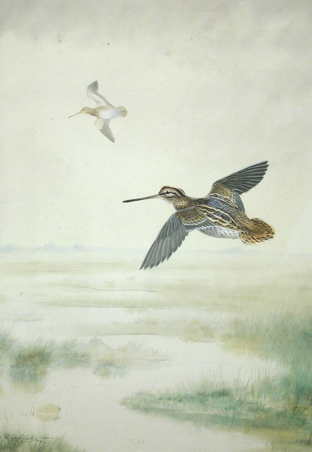 Philip Rickman (British, 1891-1982) Snipe over the marshes signed lower left "Phiip Rickman" and
