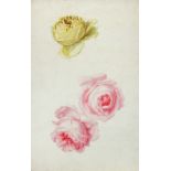 English School (18th Century) Studies of roses, plums, nectarines and apples watercolour, one