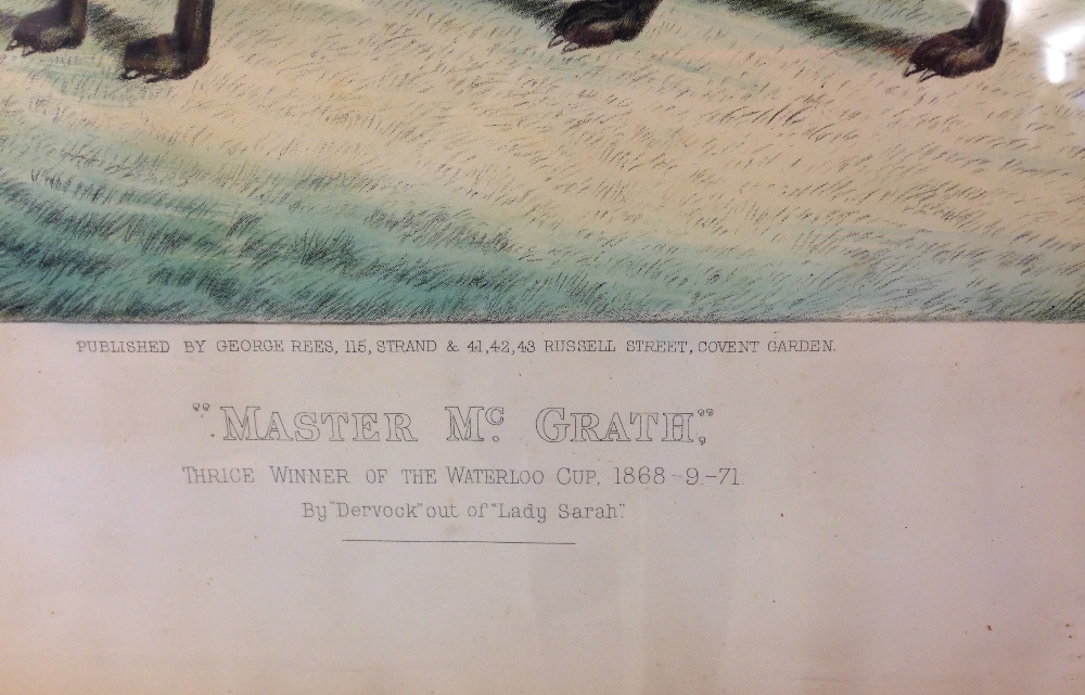 Edwin Henry Hunt (British, 19th Century) "Master Mc Grath" - a black greyhound, thrice winner of the - Image 4 of 6