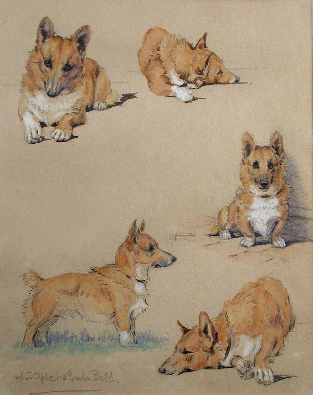 § Winifred Joan Gordon Bell (British, 1915-1975) Study of Corgis signed lower left 'W J Ophelia