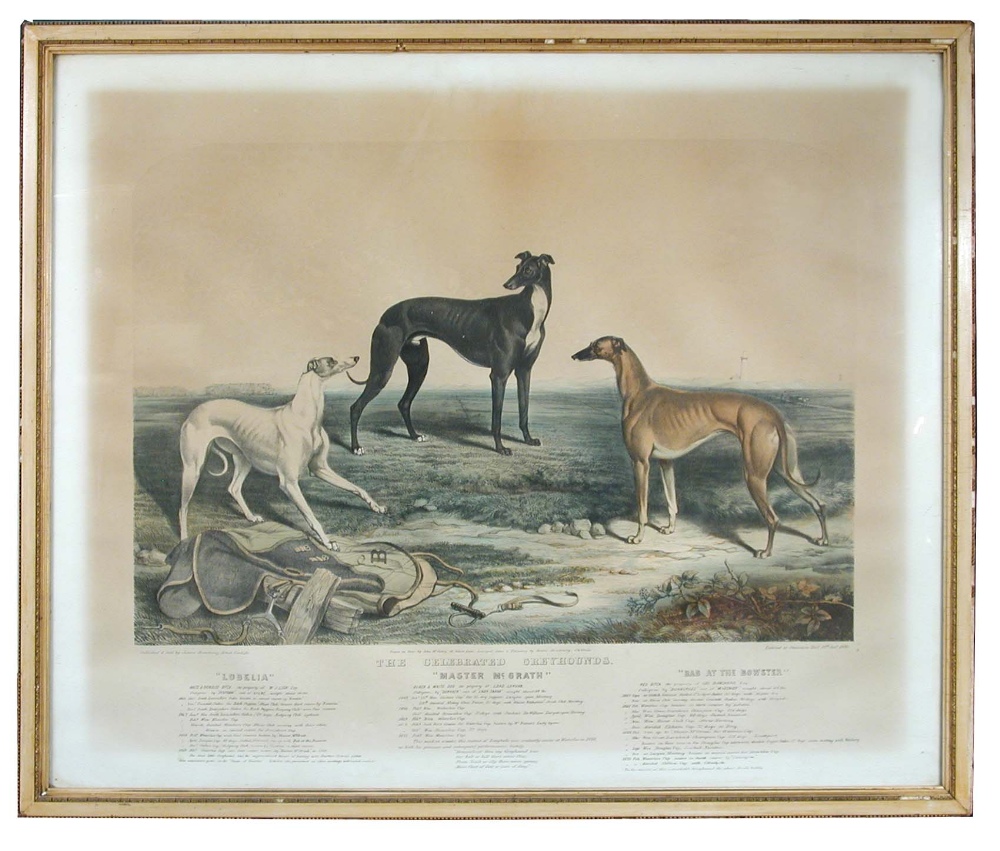 John McGahey, after James Armstrong (British, 19th Century) The Celebrated greyhounds - "Lobelia",