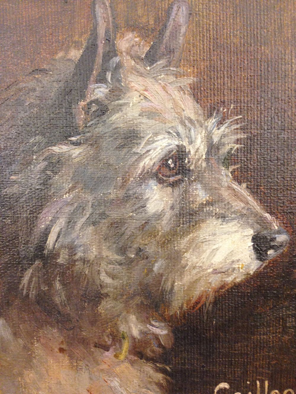 § Agnes Hilda Coates (British, 1877 - 1957) Study of "Cailleach", a Skye Terrier oil on artist's - Image 3 of 5