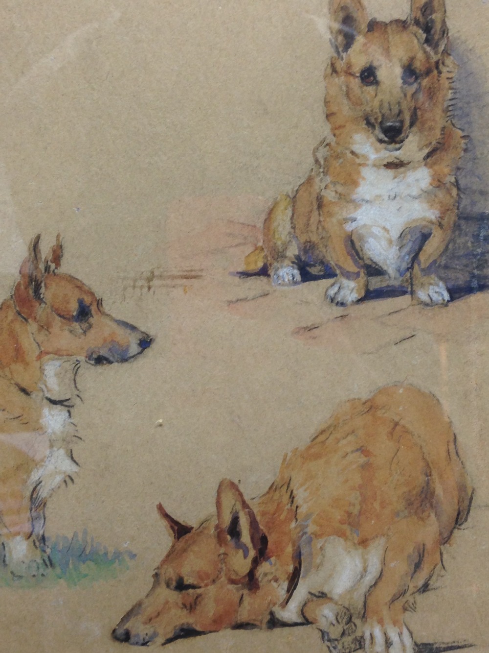 § Winifred Joan Gordon Bell (British, 1915-1975) Study of Corgis signed lower left 'W J Ophelia - Image 4 of 6