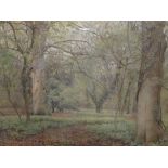 Wilmot Pilsbury (1840-1908), woodland, watercolour, 26 x42cm