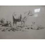 Robert Hills (British, 1769-1844) - Studies of cattle grazing in a meadow, etching, inscribed